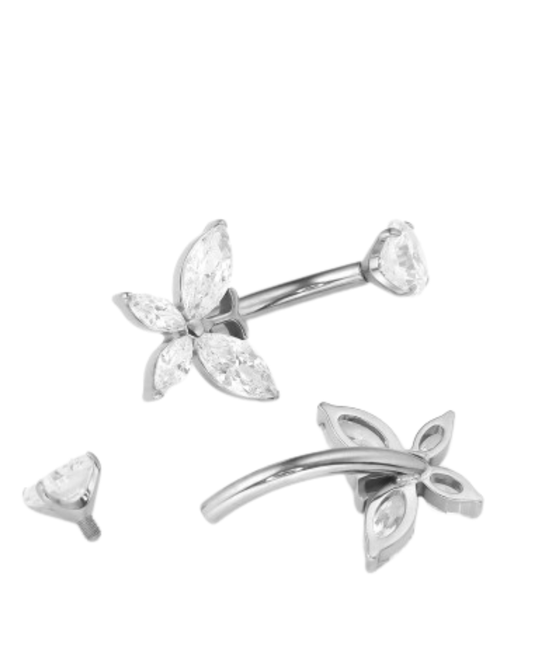 Papillon